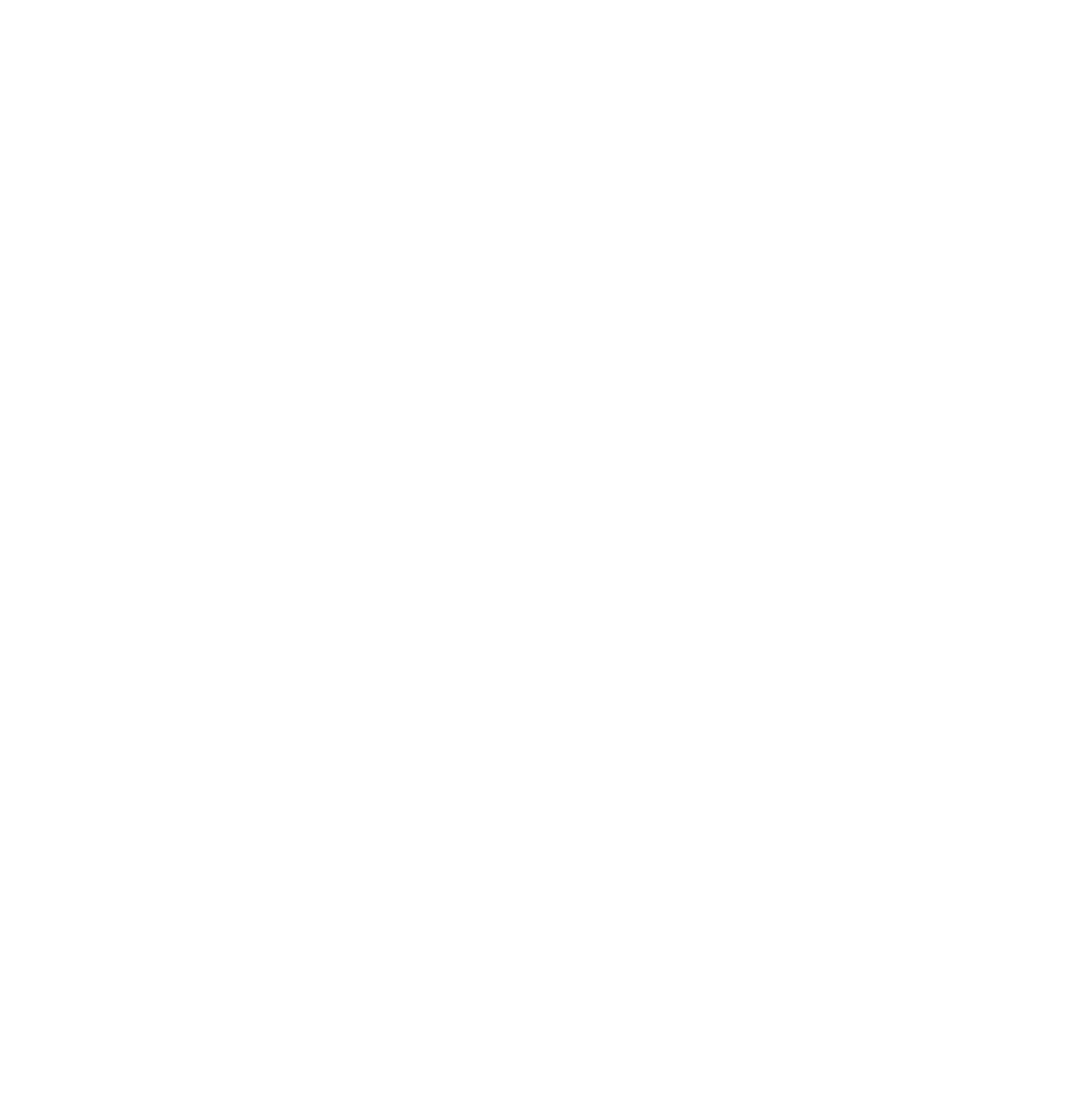 Icona Facebook